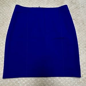 EUC Ann Taylor sz16 skirt